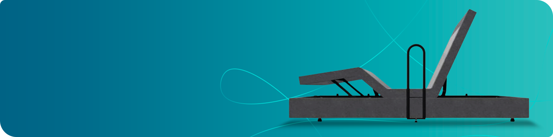 Platinum Health Bed Rail Collection